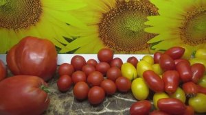 Лучшие засолочные томаты. Томат Знаменитая голландская девушка. №944.Обзор сорта и дегустация.