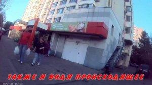 ПТИЦЫ И ЖИВОТНЫЕ