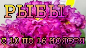 РЫБЫ таро прогноз на неделю с 10 по 16 НОЯБРЯ 2025 года.