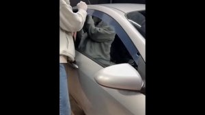 Видео установка 2Д дефлекторов / плоских ветровиков на Nissan Primera P12 / Ниссан Примьера Р12