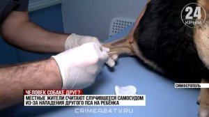 Мёртвых уличных псов нашли в одном из районов Симферополя