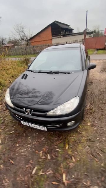 Пежо 206 смотреть онлайн