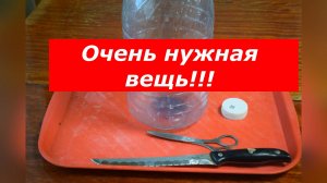 Лайфхак! Своими руками делаю мини-теплицу для моих растений!