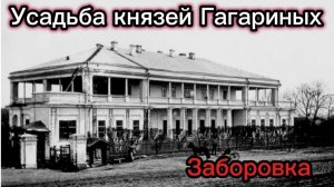 Усадьба князей Гагариных. Заборовка. Сызрань. Самарская  область.
