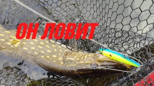 РЫБАЛКА НА ВОБЛЕР ОСЕНЬЮ!!! КИСЛОТНЫЙ ЦВЕТ СНОВА В МОДЕ, ОН ЛОВИТ