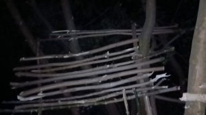 Кто не мечтал о домике на дереве в детстве?