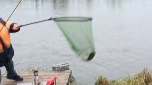 VID_20251107_160351_737