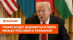 Трамп пообещал, что будет добиваться мира между Россией и Украиной