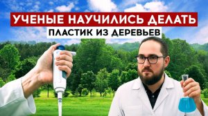 Ученые научились делать пластик из деревьев