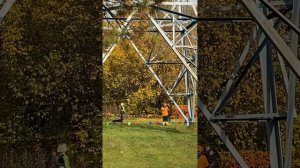 ВЕО Валентлайф Фуджиминори, 4 года. Соревнования на КСС Варяг 11.10.2025г. Место.