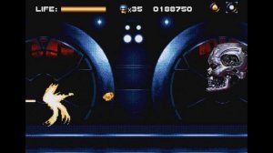 Robocop vs Terminator