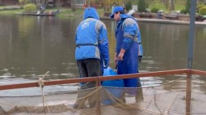 Запуск форели