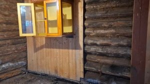 Разбираю вагонку в новом доме, нижние венцы сруба под замену, гусь, много гуся, кофейная чашка.