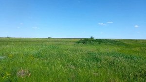 Исчезнувшая деревня Кафтыревка 2-я, Турковский район.