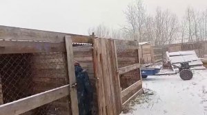 К нам пришла зима.