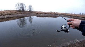 Нервный малыш! Телескопический спиннинг XUL TeleTen ТeлеТен 0,1-1,5 гр ,1,50 м