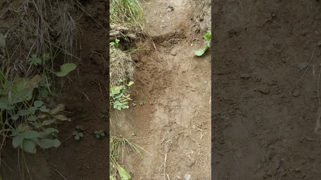 Треш контент... смотреть онлайн