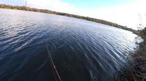 Лучшие проводки для ВОБЛЕРА! Как ловить на ТВИЧИНГ