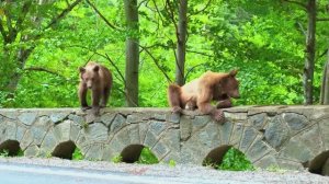 СПОКОЙНАЯ И УМИРОТВОРЯЮЩАЯ МУЗЫКА ДЛЯ ДУШИ