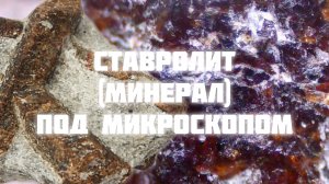 Ставролит (минерал) под микроскопом