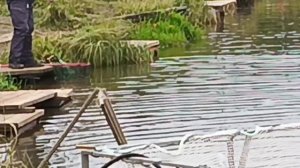 VID_20251107_160349_151