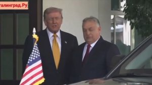 Трамп встретил Орбана в Белом доме и назвал его «великим лидером».
