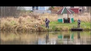 Светлые Горы Щука 07.11.2025г.