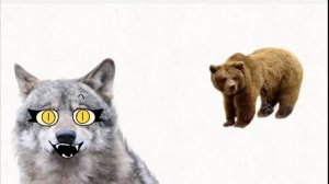 маринованый медведь 😱🐻