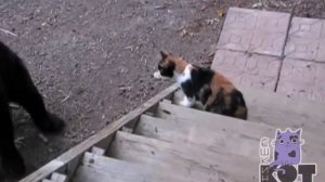 Извините, не хотел мешать...