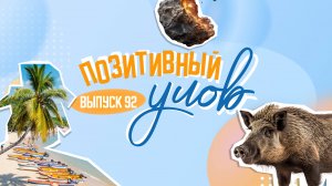 Китайские Гавайи и песня о шаурме . "Позитивный улов"