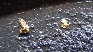 Мою самородное Золото в реке!