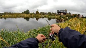 Новинка 2025 года. На что способен Hearty Rise Laiquendi LQS 602XUL