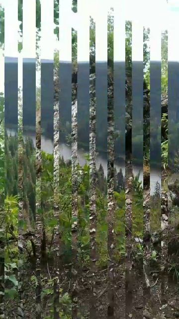 Усьвинские столбы. смотреть онлайн