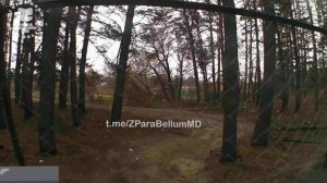 Бойцы ВС РФ уничтожили сразу два FPV-дрона ВСУ,