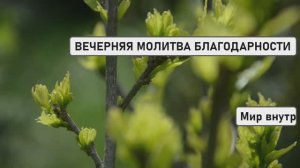 ВЕЧЕРНЯЯ МОЛИТВА БЛАГОДАРНОСТИ | Ключ к Счастью и Изобилию через Силу Благодарности