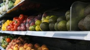 «Новое утро»: 9 ноября 2025 года