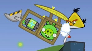 Angry birds and pigge: покатушки 🛺