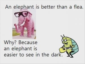 Comparative adjectives song - An elephant is bigger than a flea