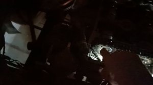 Двигатель 406 проблемы со звёздами на распредвалах.