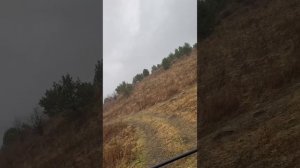 Экстремальный отдых на квадроциклах в Белокурихе