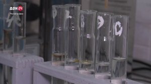 Медовый рейд