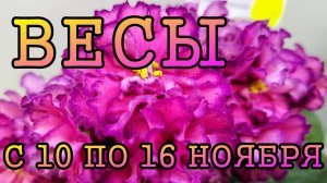 ВЕСЫ таро прогноз на неделю с 10 по 16 НОЯБРЯ 2025 года.