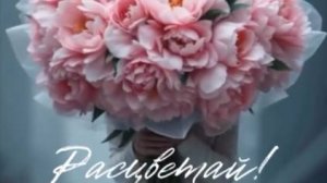 С Днем Рождения Женщине - Открытка  с днем рождения с пожеланиями