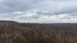 д Перхурово ул Садовая