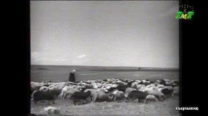 Новости ТМТ 07.11.2025