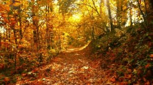 8 ноября - Тайна Зеркала и Силы отражения.