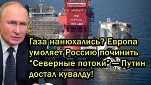 Газа нанюхались? Европа умоляет Россию починить “Северные потоки” — Путин достал кувалду!