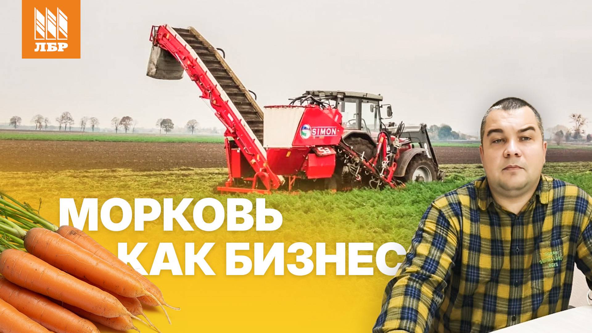 Все что нужно знать о выращивании моркови. Особенности и технологии