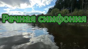 Речная симфония: кадры с лодки и прибрежных пейзажей