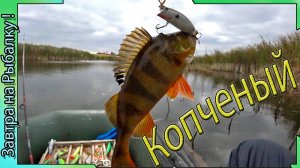 Ураган.... Нашел затишье, а там есть поклевки ....